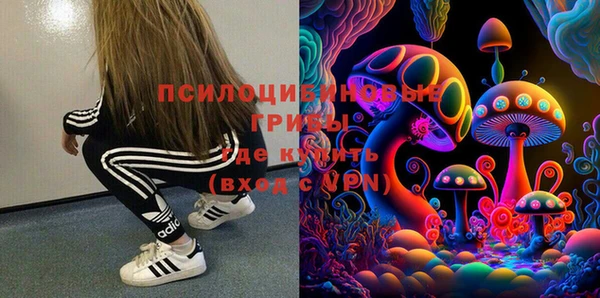гашик Беломорск