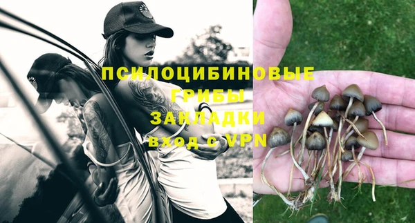 гашик Беломорск