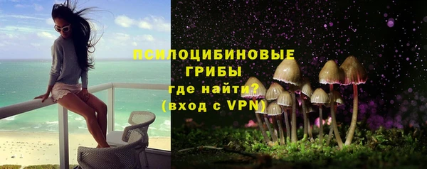 гашик Беломорск