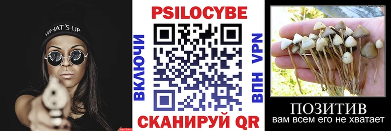 Галлюциногенные грибы прущие грибы Бутурлиновка