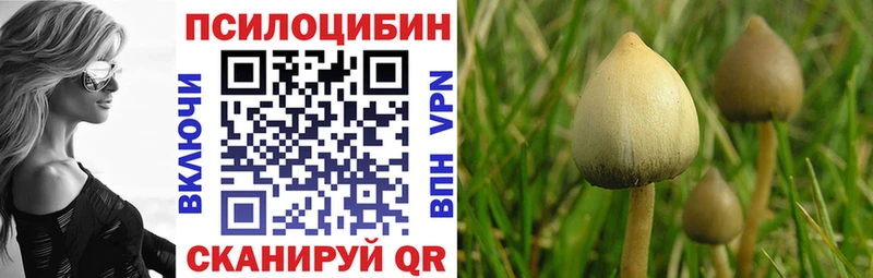 мега ссылка  как найти закладки  Бутурлиновка  Псилоцибиновые грибы Psilocybine cubensis 