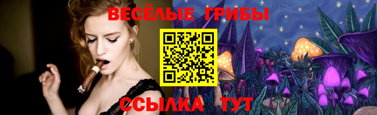 Галлюциногенные грибы Psilocybe Бутурлиновка